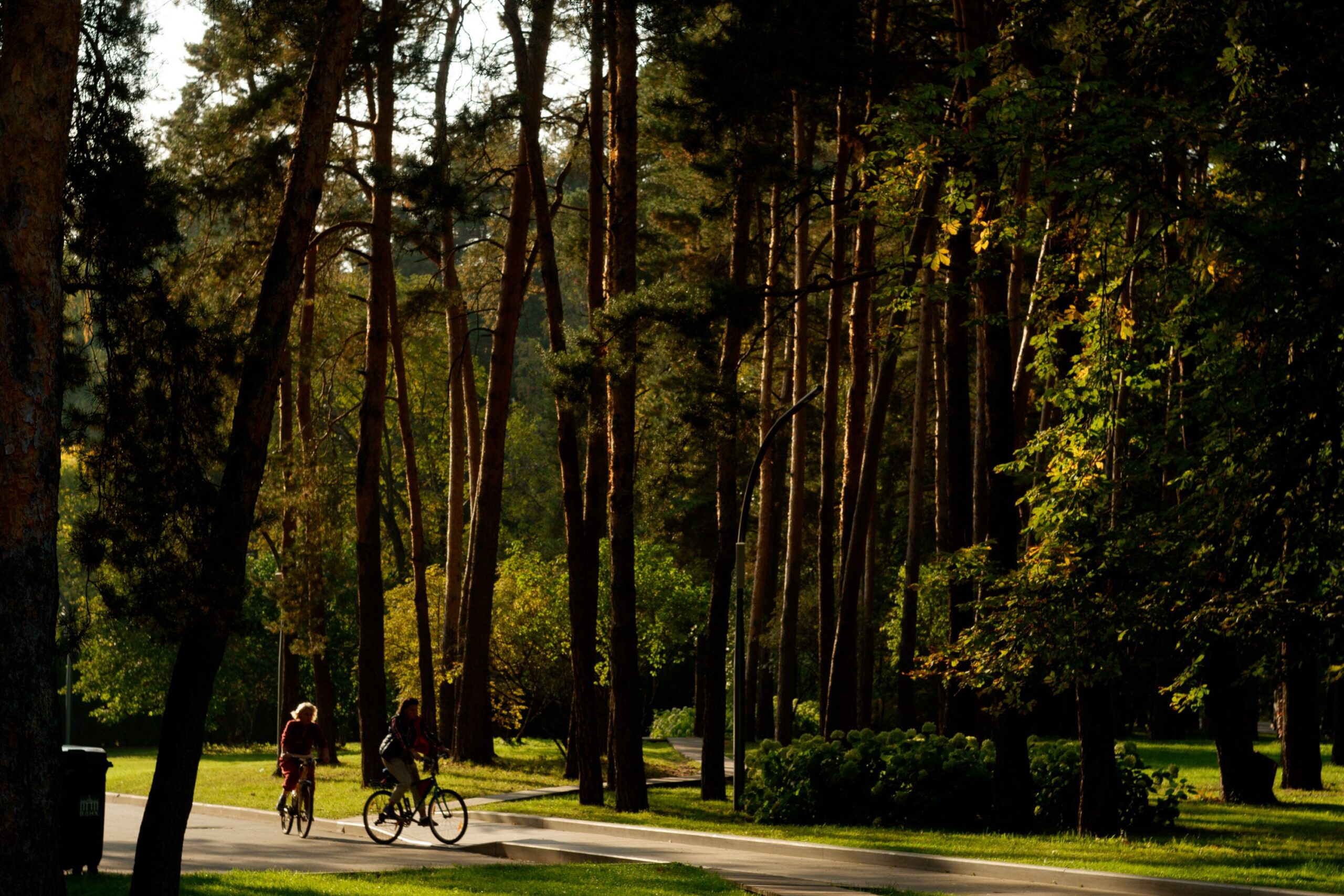 Met de fiets door Hasselt: een dagje toerist in eigen stad
